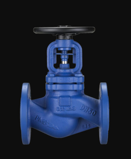 GLOBE VALVE WITH DIN/ANSI BELLOWS SEAL